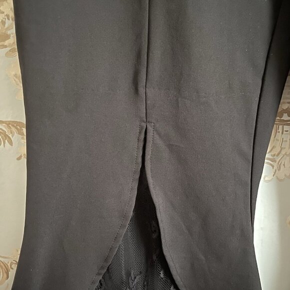 Scarlet Darkness Womens Pants Size XL Whimsigoth Witchy Dark Romance Steam Punk - Picture 3 of 11